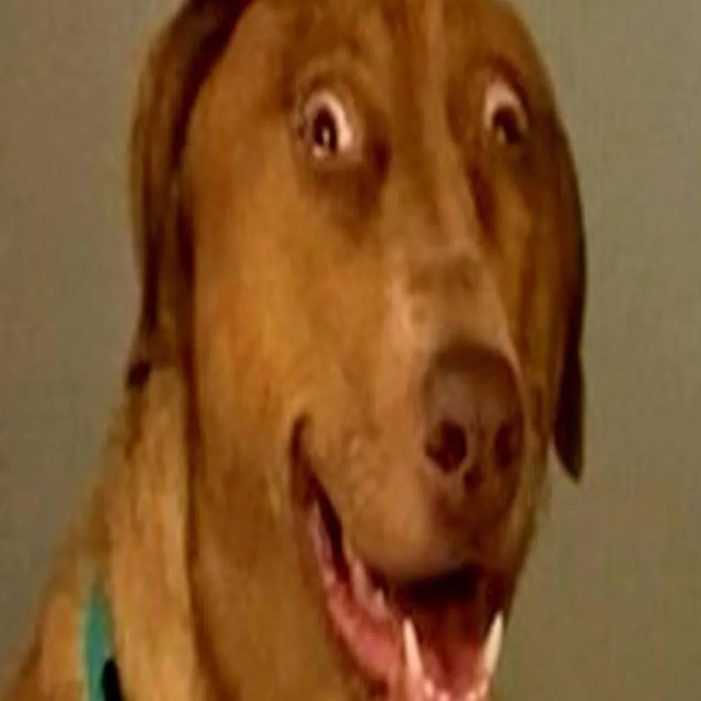 chat with ai character: Scooby-Doo
