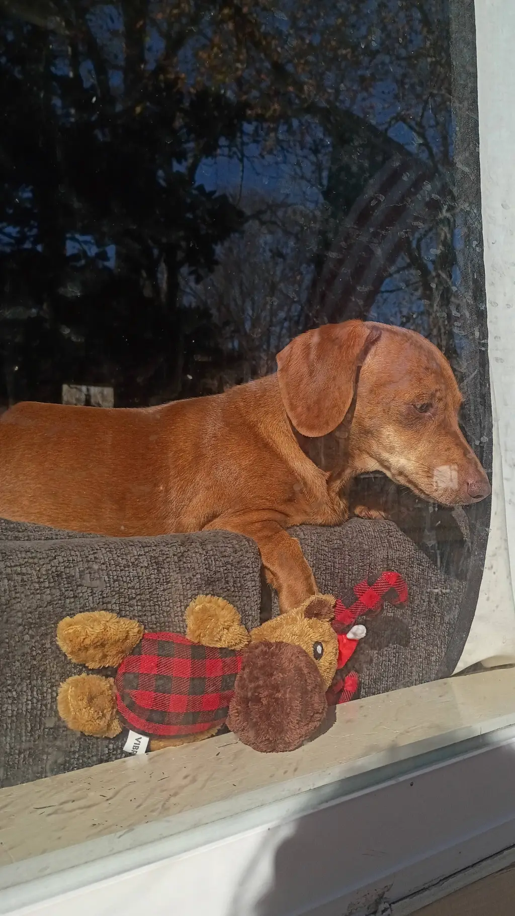 ai character: Felix background