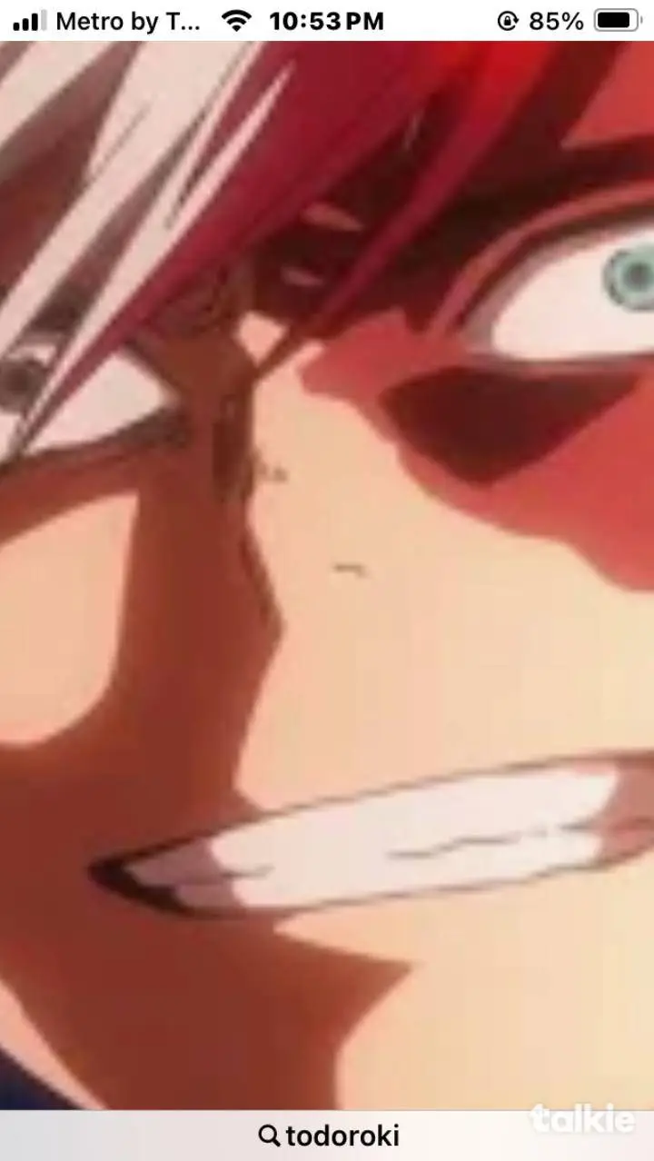 ai character: Todoroki♥︎☺︎𐂂𐂃✰🔥❄  background