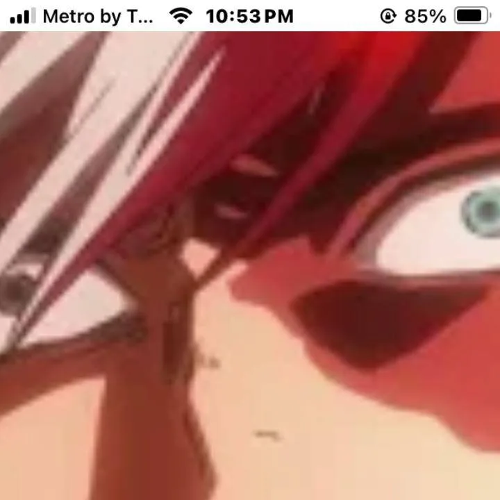 chat with ai character: Todoroki♥︎☺︎𐂂𐂃✰🔥❄ 