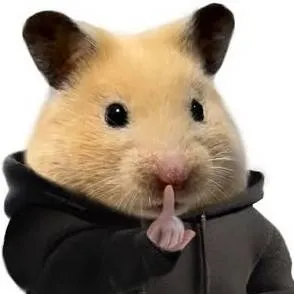 chat with ai character: hamaac