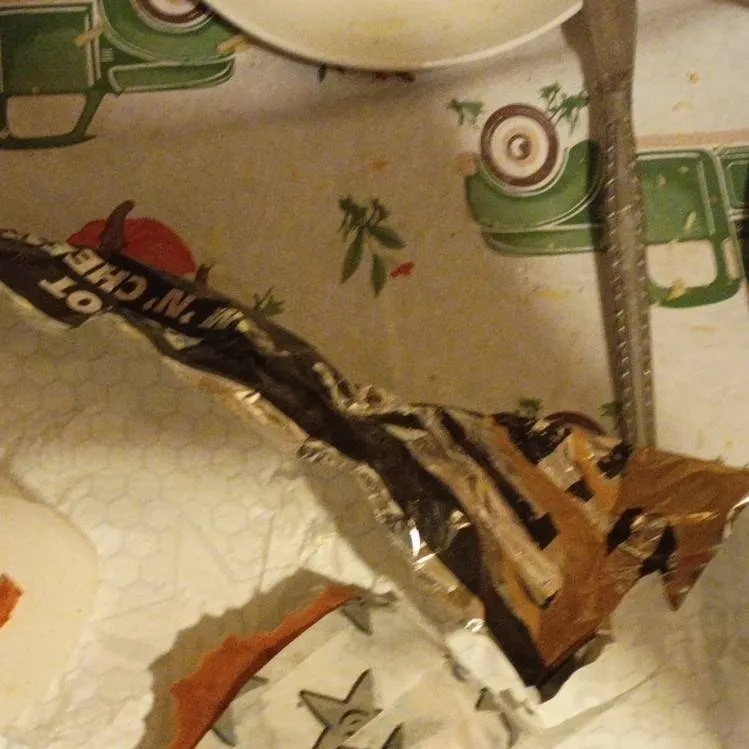 chat with ai character: Hamburga pt2