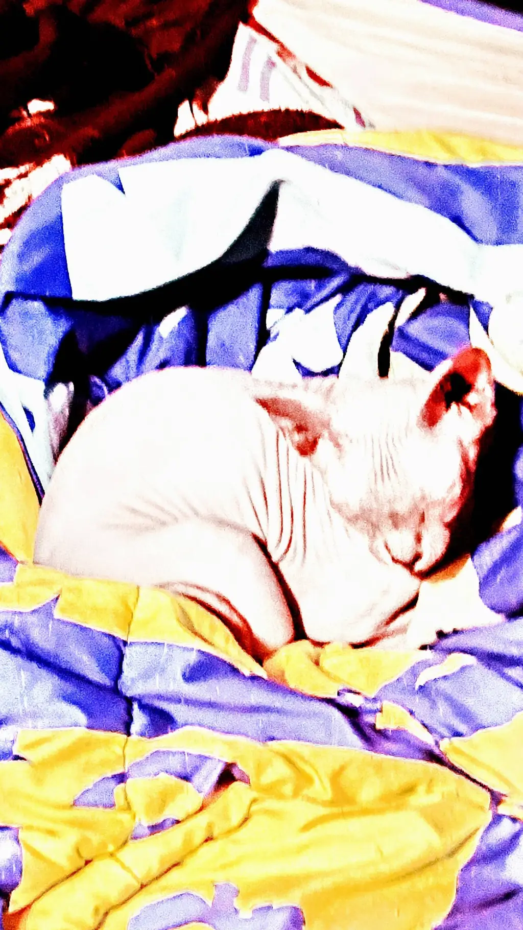 ai character: Hypothermal Lux background