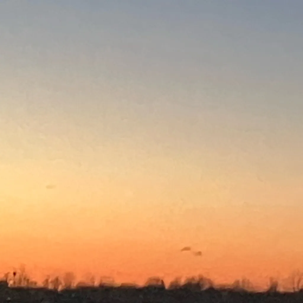 chat with ai character: Steven universe 