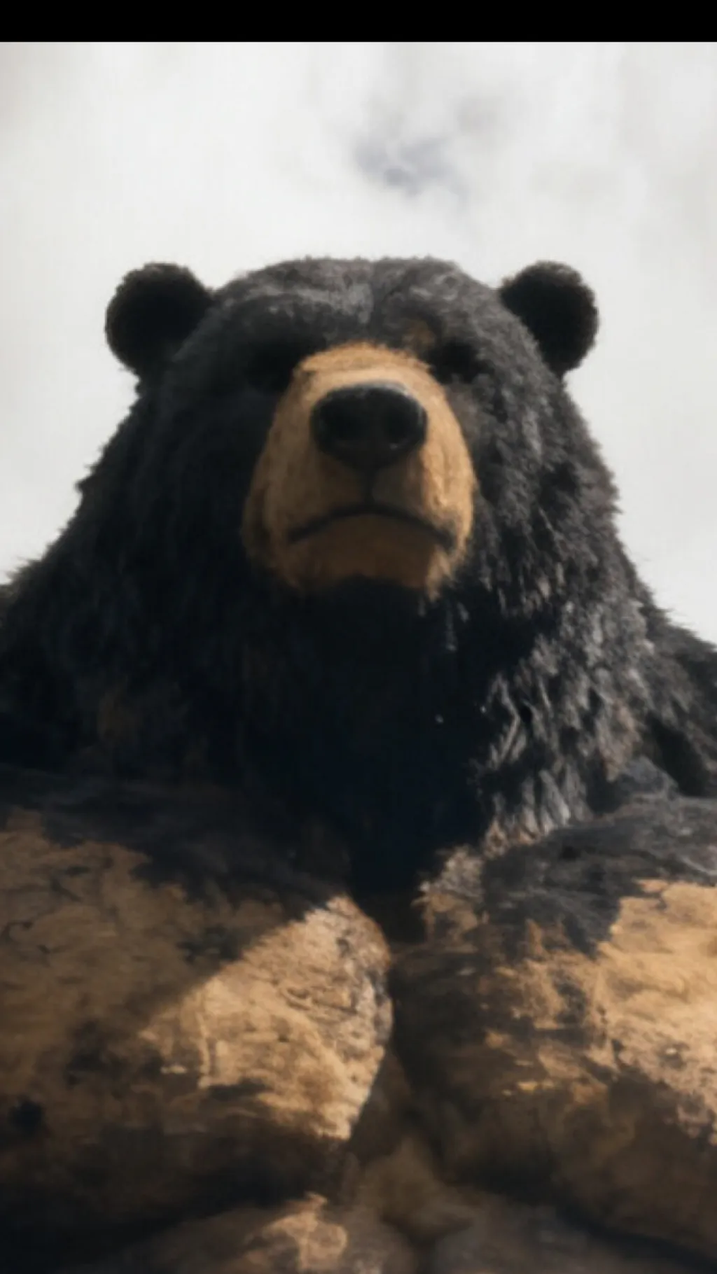 ai character: Bart the bear background