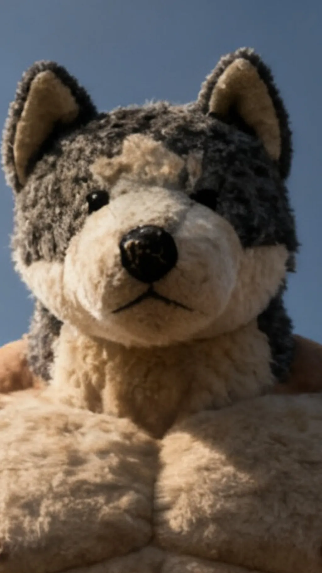 ai character: Hunter the husky  background