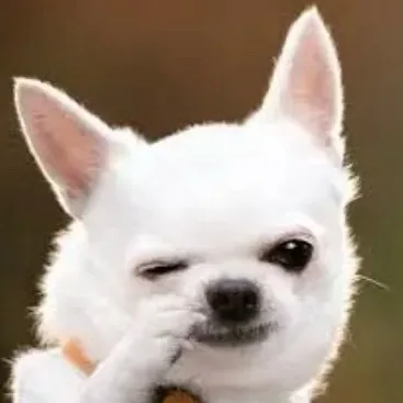 chat with ai character: Your dog