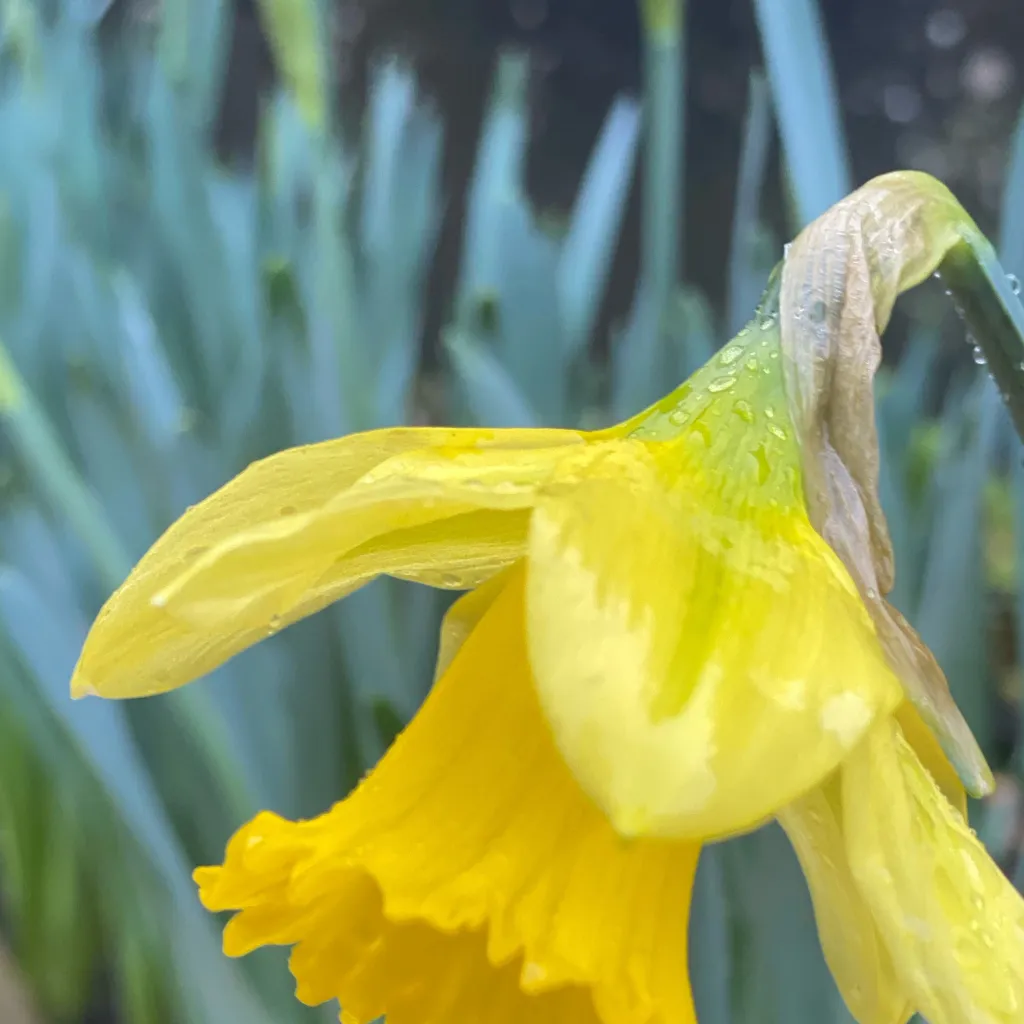 chat with ai character: Long lost brothers