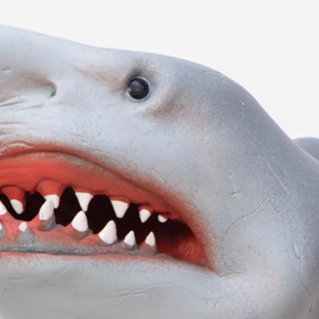 chat with ai character: Shark puppet