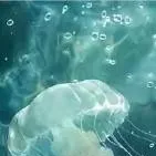 chat with ai character: my life