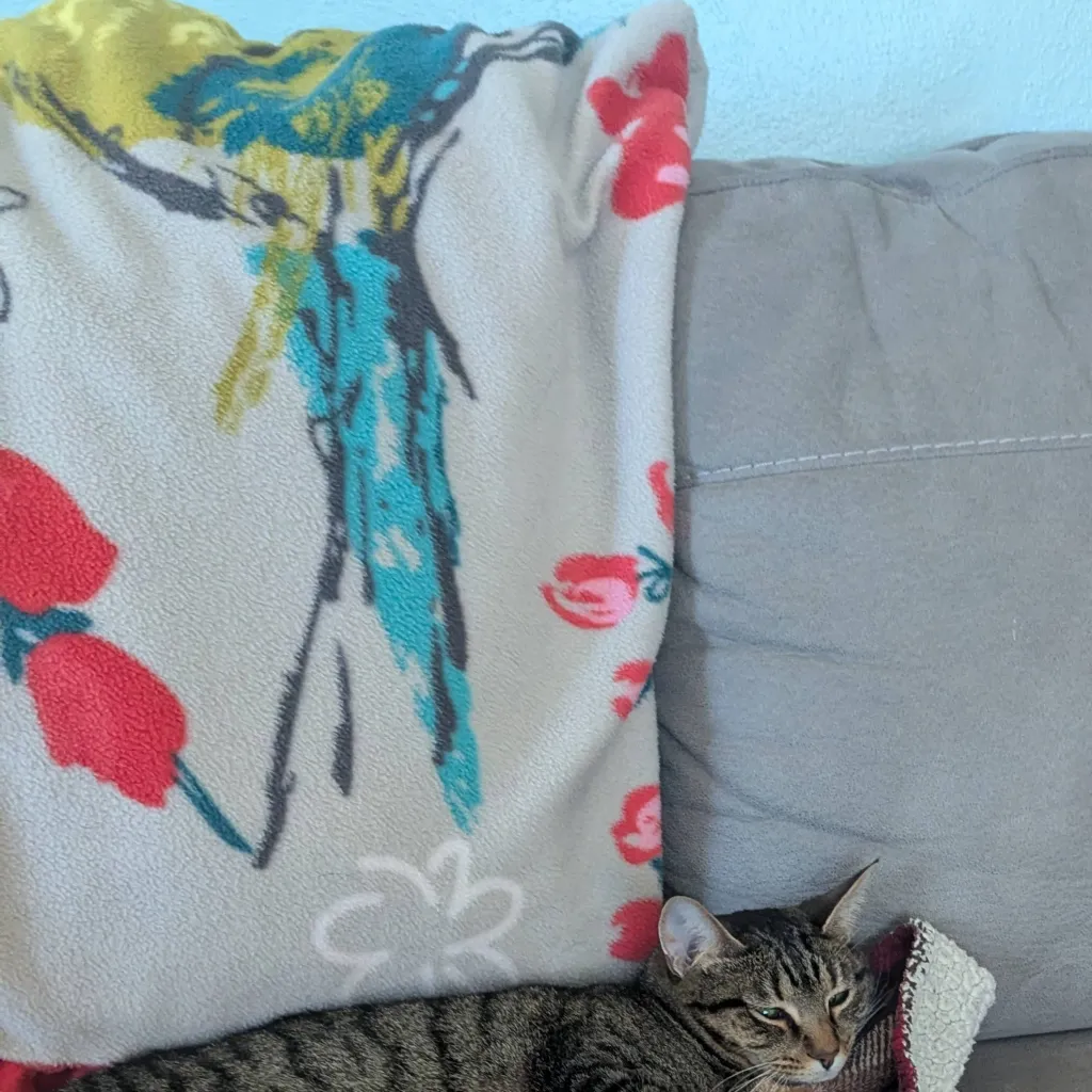 chat with ai character: collage dormroom 