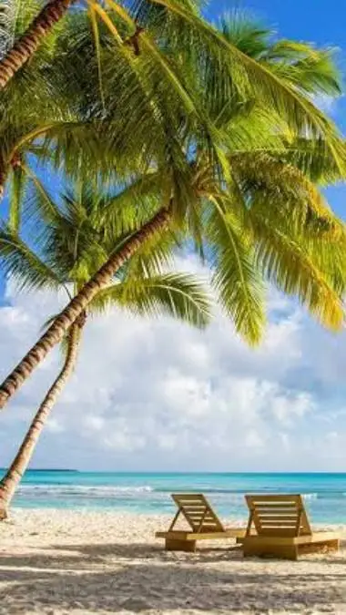 ai character: forsaken beach background