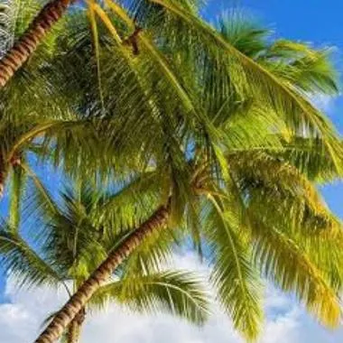 chat with ai character: forsaken beach