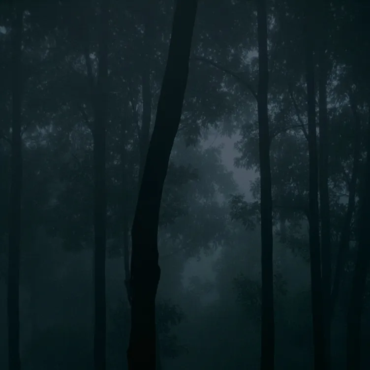 chat with ai character: dark forest