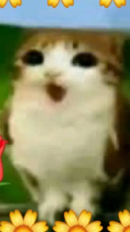 ai character: Meowll:> background