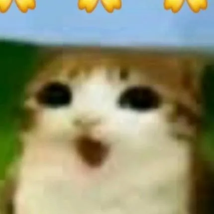 chat with ai character: Meowll:>