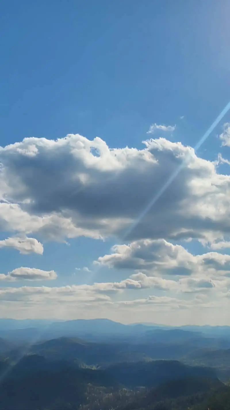 ai character: mike background