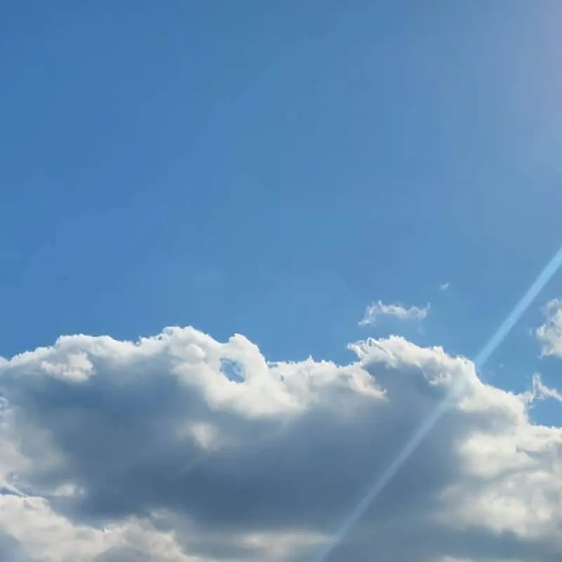 chat with ai character: mike