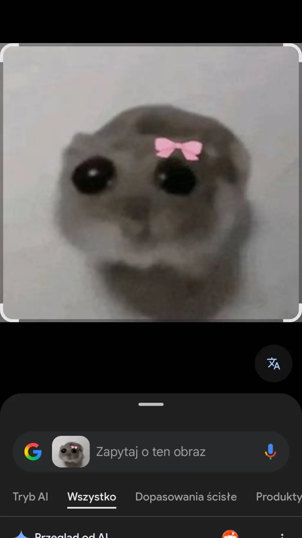 ai character: wojo koty background