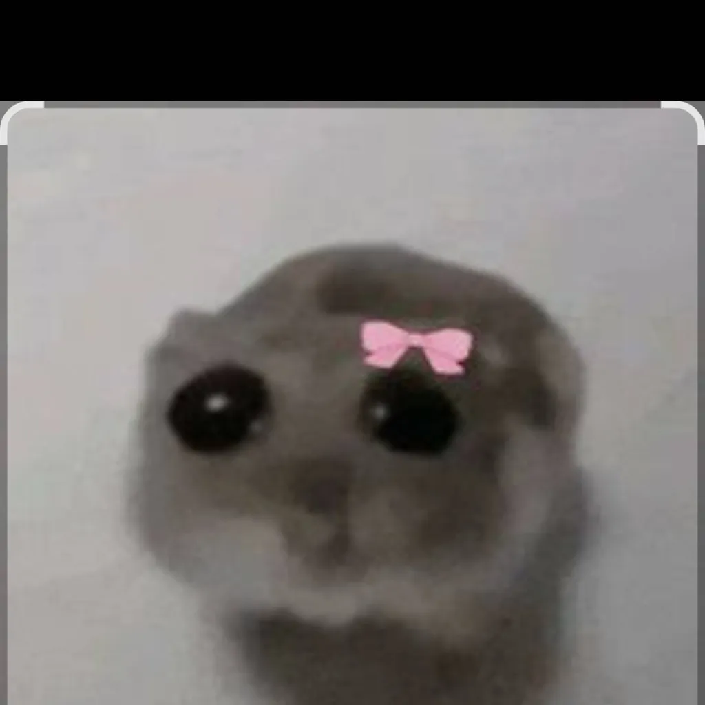 chat with ai character: wojo koty