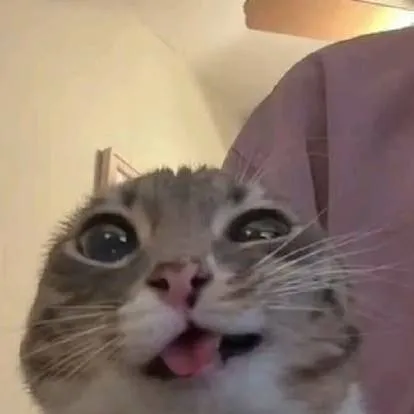 chat with ai character: spam meow (game)