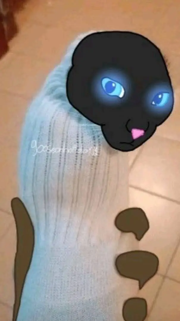 ai character: 💤black cat💤 background