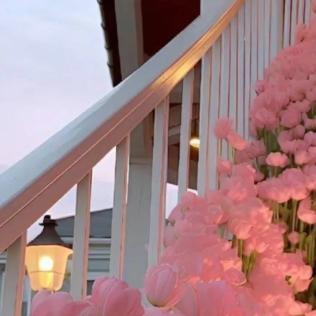 chat with ai character: BTS & BLACKPINK