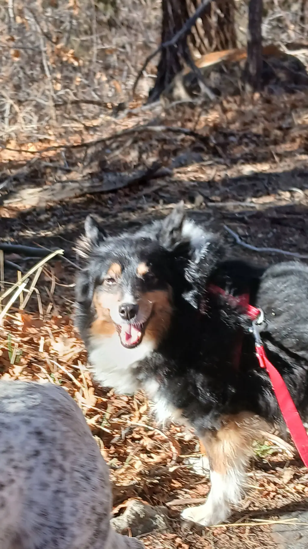 ai character: mha dadzawa  background