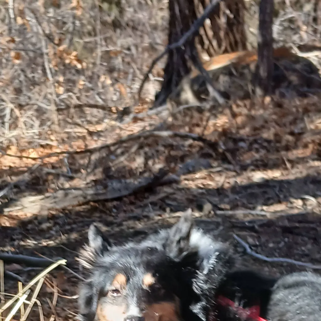 chat with ai character: mha dadzawa 