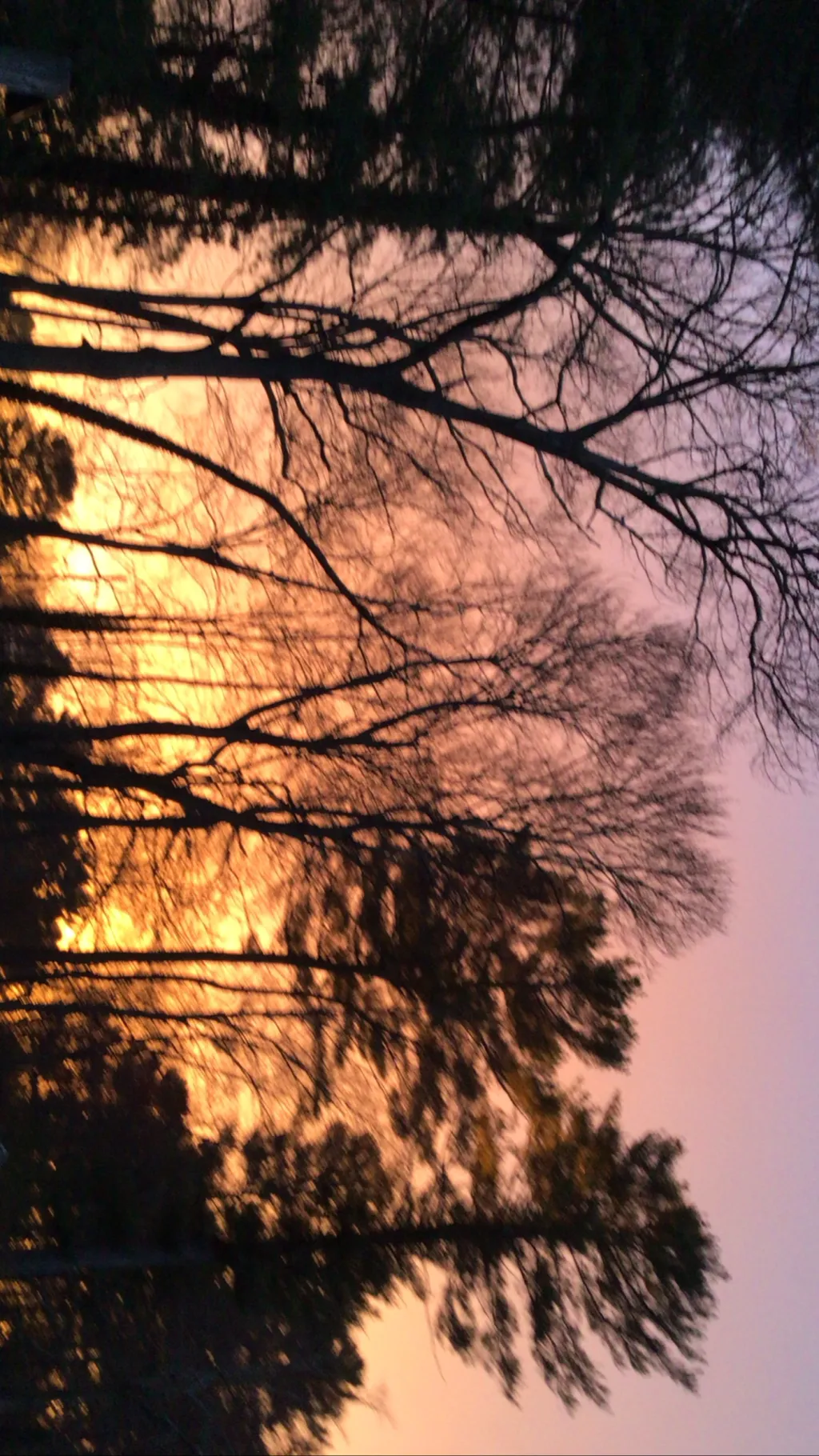 ai character: Em background