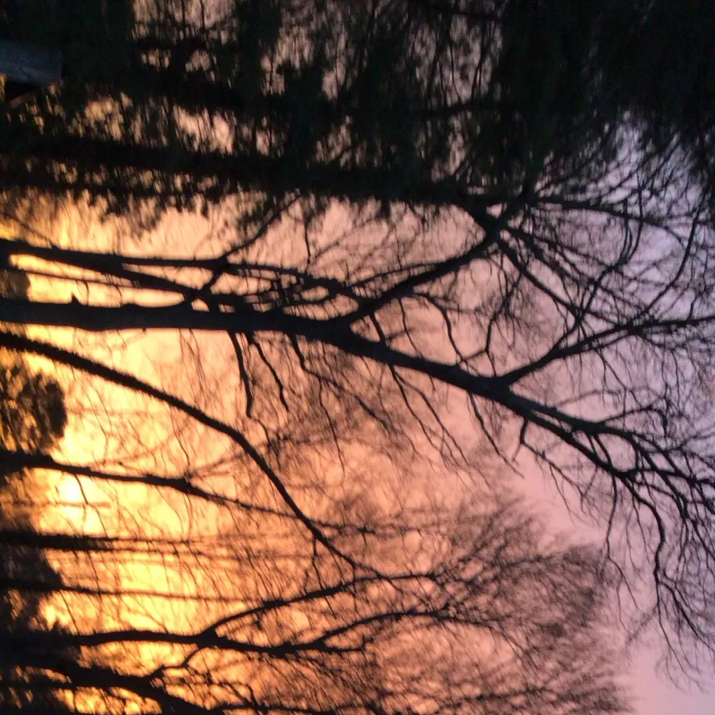 chat with ai character: Em