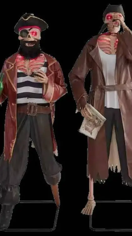 ai character: the pirate Duo background