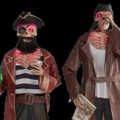 chat with ai character: the pirate Duo