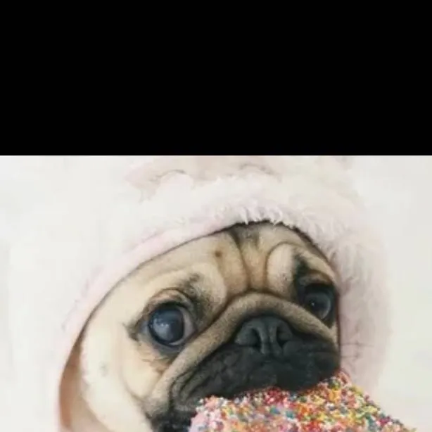 chat with ai character: oбщaюcь c BaMu