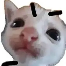 chat with ai character: Angy cat