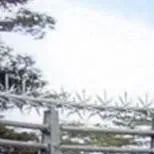 chat with ai character: MHA 