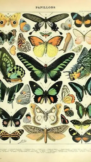 ai character: Hh pick me😰 background