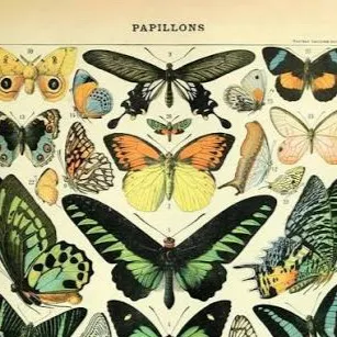 chat with ai character: Hh pick me😰