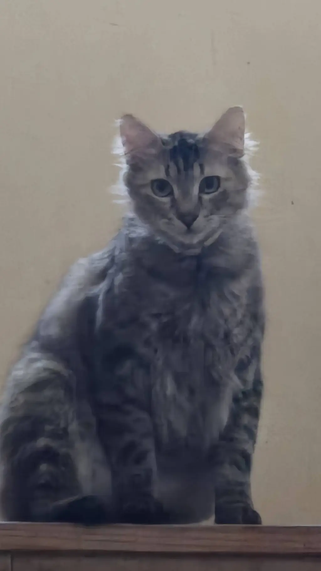 Talkie AI - Chat with jayden