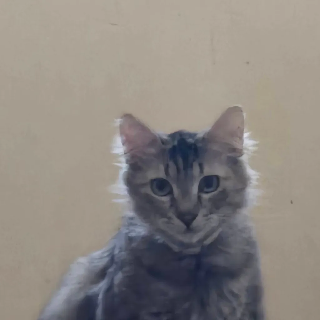 chat with ai character: jayden