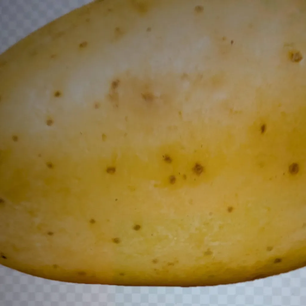 chat with ai character: envahisseur 