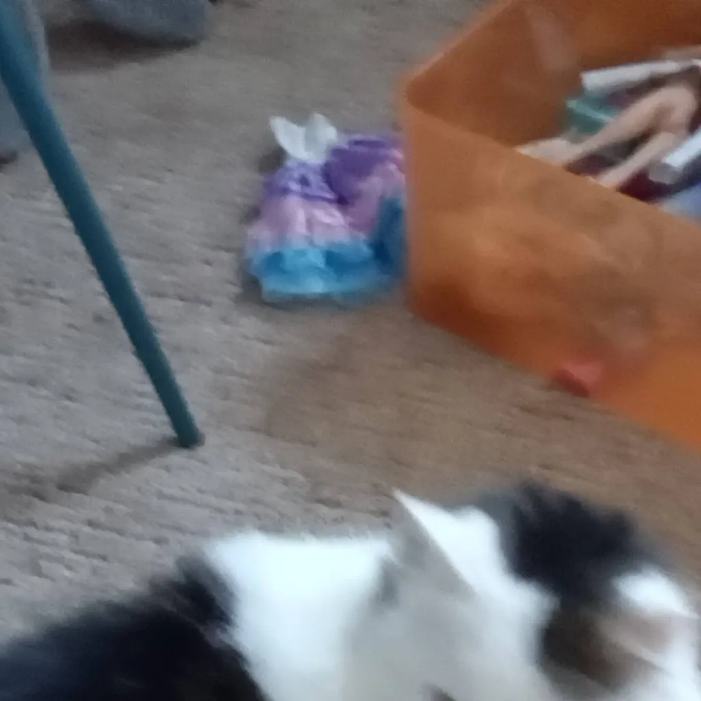 chat with ai character: jet