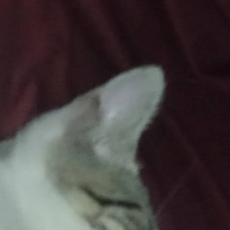 chat with ai character: João Paulo