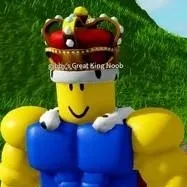 chat with ai character: King Noob