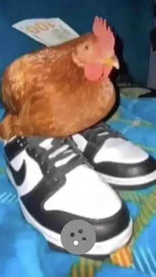 ai character: NIKE CHICKENNNNNNN background