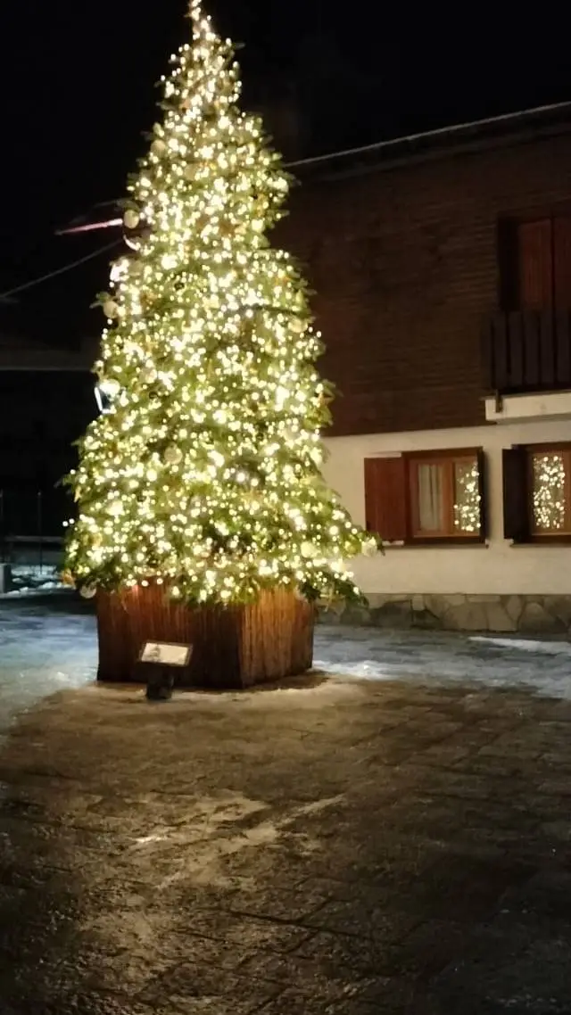 ai character: Nicolas  background