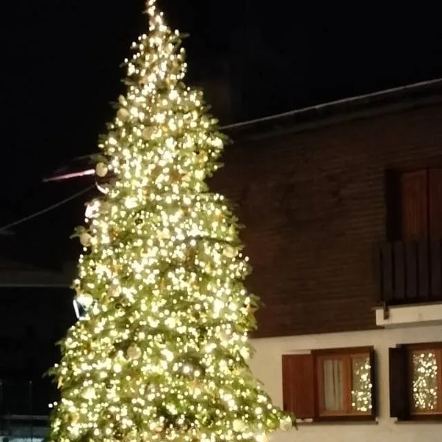 chat with ai character: Nicolas 