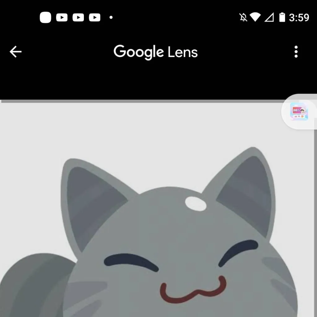 chat with ai character: biggest tabby