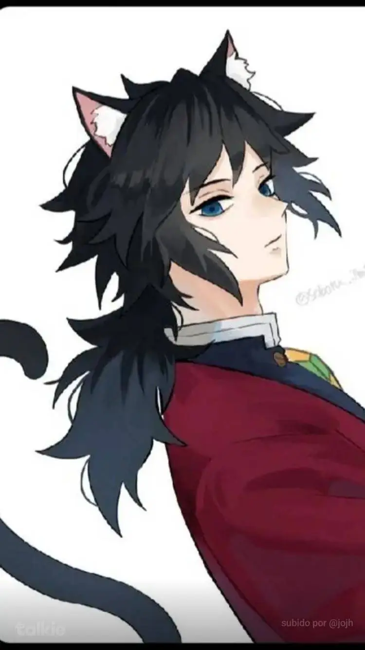 ai character: tomioka gato background