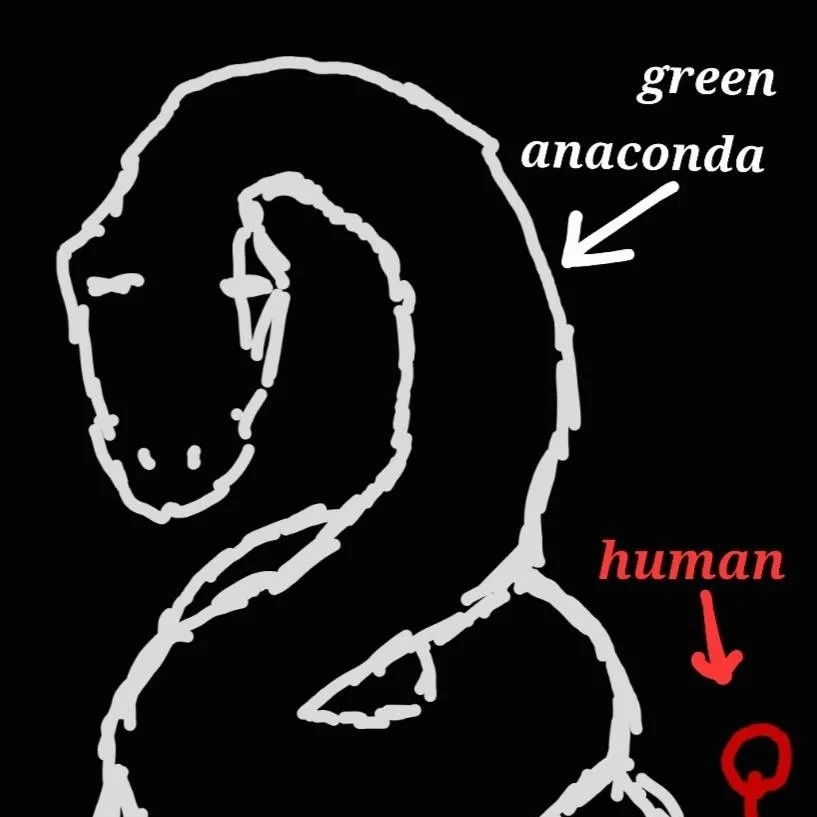 chat with ai character: green anaconda 